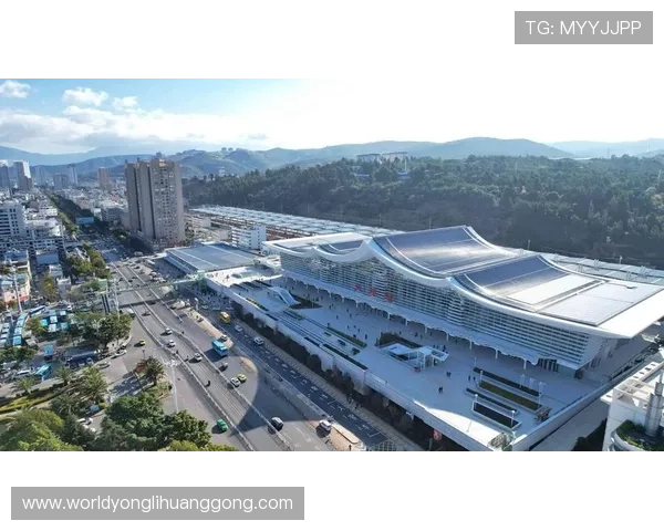 永利澳门官网入口多渠道登录支持,满足不同用户的多样化需求